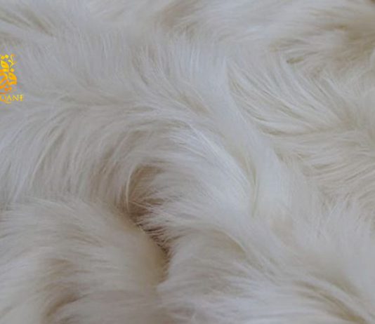 Faisal Ali Qane: The pioneer of the fur trade in the UAE Faisal Ali qane